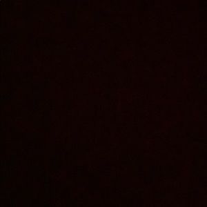 Meet your Posher, Daniela